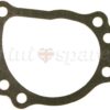 Genuine water pump gasket